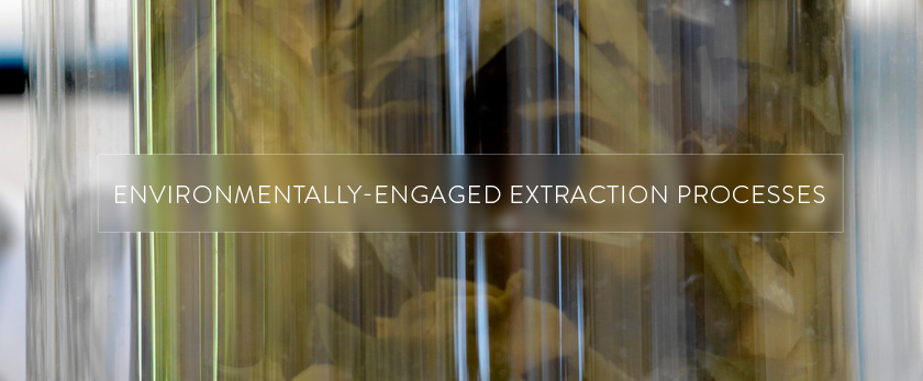 Environmentally-engaged Extraction Process