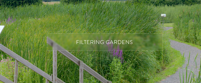 Filtering Gardens