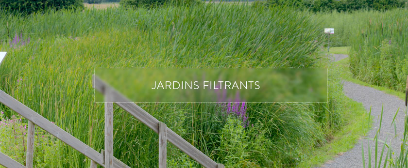 Jardins filtrants